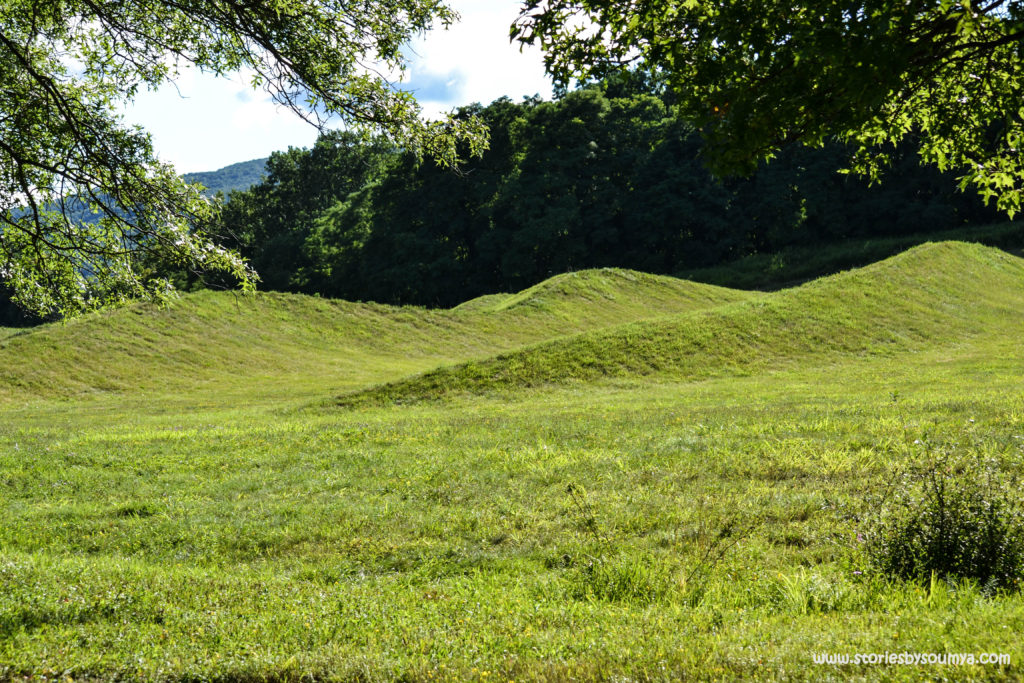 Rolling Hills Storm King in Summer