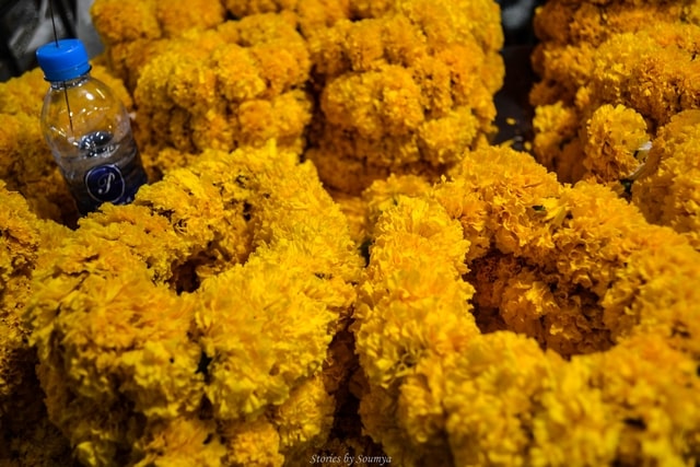 Yodpiman Flower Market Bangkok | Stories by Soumya