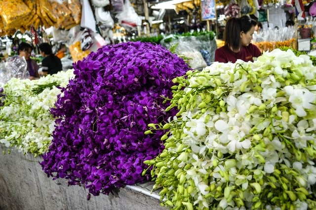 Yodpiman Flower Market Bangkok | Stories by Soumya