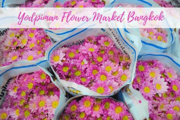Yodpiman Flower Market Bangkok – The Best Visitor’s Guide