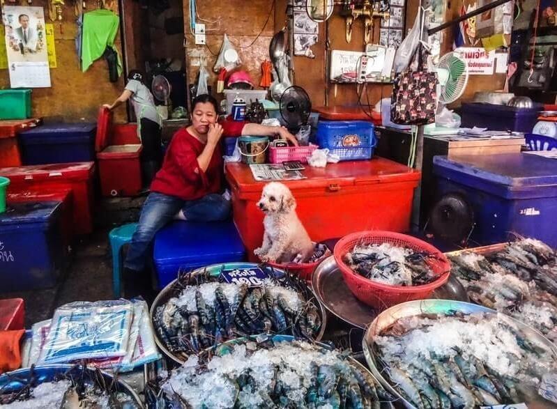 The Best Markets To Visit In Bangkok | Stories by Soumya