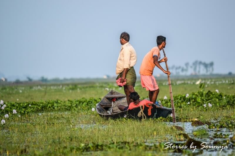 Fishermen at Mangalajodi bird sanctuary | Stories by Soumya