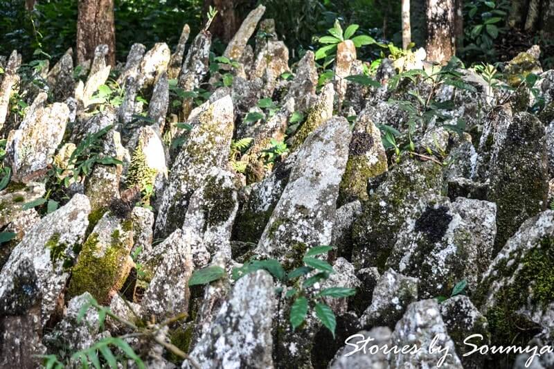 Tiwa monoliths | Stories by Soumya