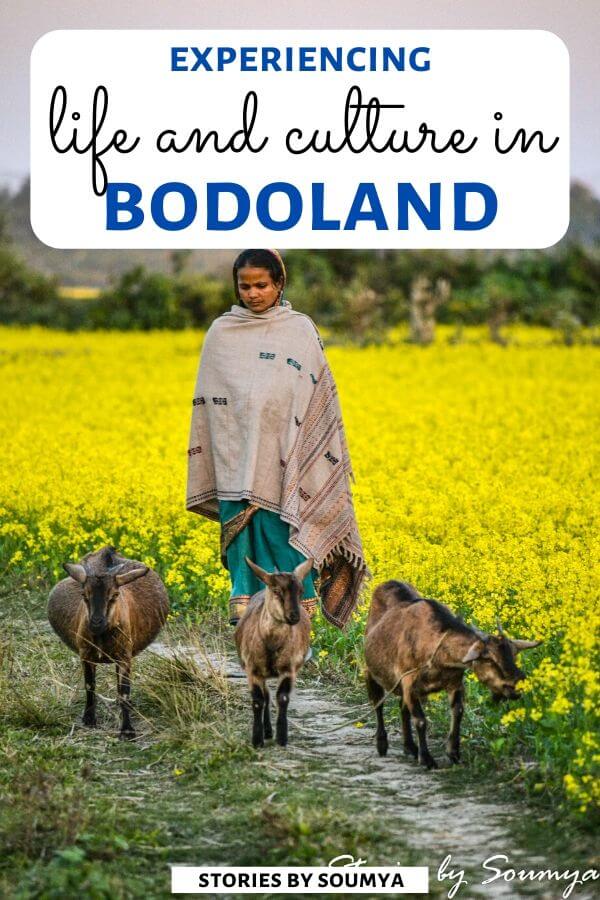 All about Bodo Ethnic Tribes of India. Experience life and culture of Bodo people in Assam, get a glimpse of art forms, and shoot amazing portraits. #tribes #india #bodoland