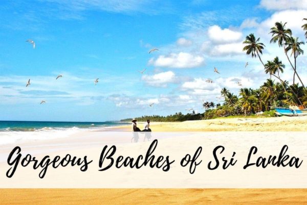 11 Best Beaches In Sri Lanka – The Ultimate Beach Guide