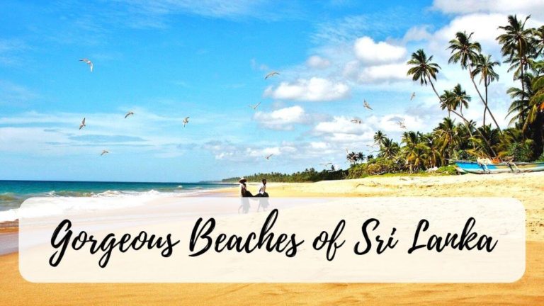 The Best Beaches of Sri Lanka | Stories by Soumya