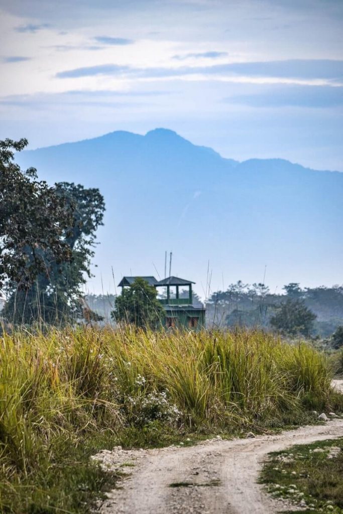 Manas National Park Scenery