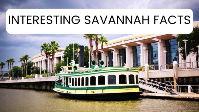 Looking for interesting Savannah facts that you did not know? Grab this copy of the 13 strange facts about Savannah and learn about Savannah things that nobody else knows.