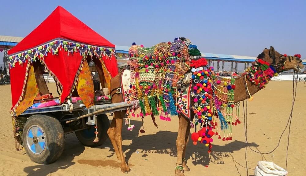 Pushkar Fair in Rajasthan - True experience of the colors of India