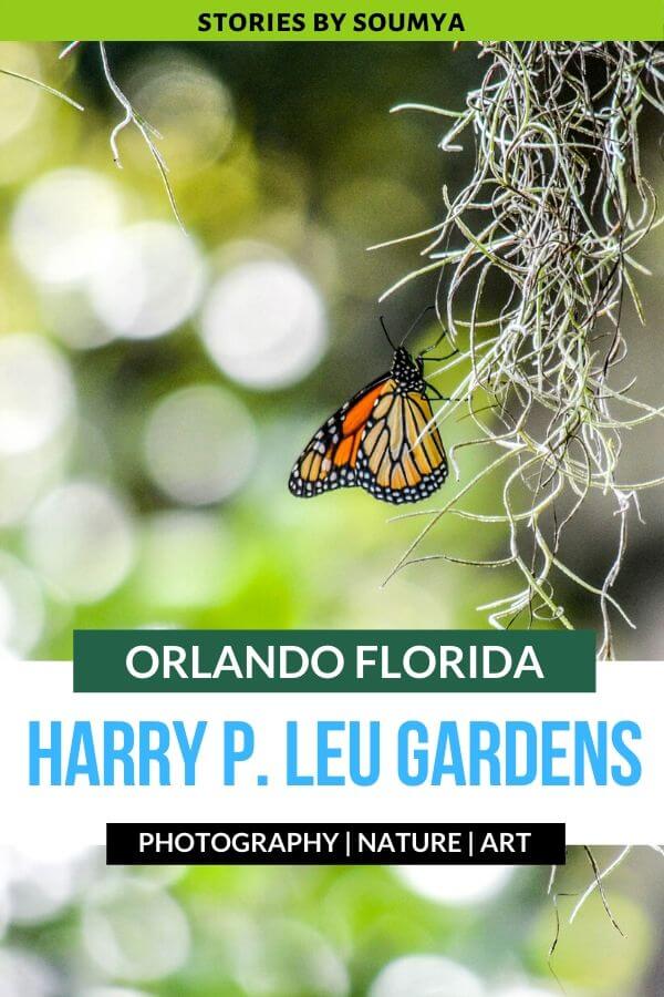 Harry P. Leu Gardens in Orlando Florida