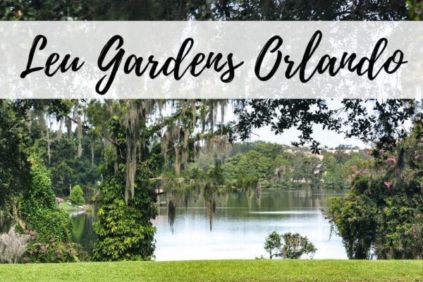Explore Harry P. Leu Gardens In Orlando Florida
