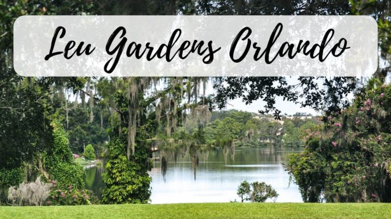 Harry P. Leu Gardens in Orlando Florida