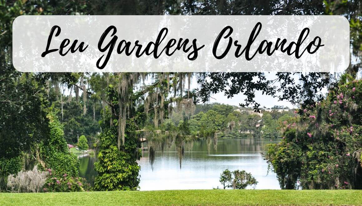 Explore Harry P. Leu Gardens In Orlando Florida Stories by Soumya
