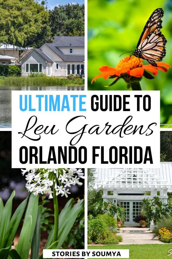 Harry P. Leu Gardens in Orlando Florida