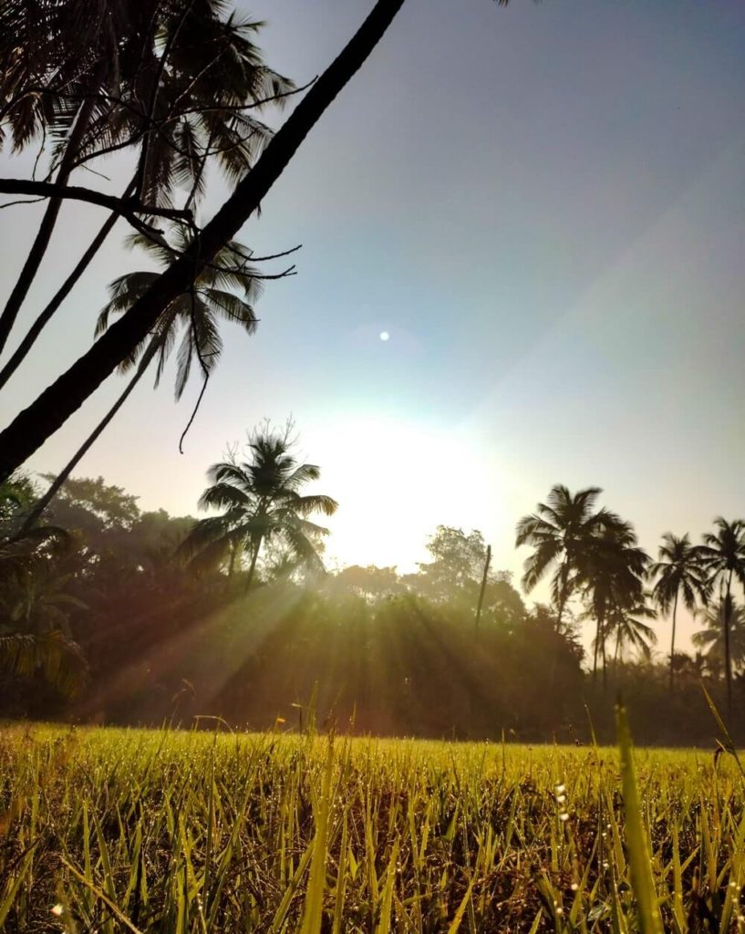 Scenery of Tulu Nadu India