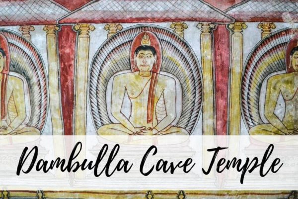 Dambulla Cave Temple Sri Lanka: The Ultimate Travel Guide