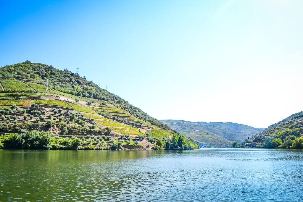 Rolling hills of Douro Valley