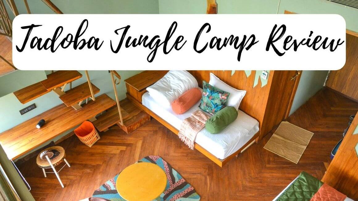 Tadoba Jungle Camp: An Honest Review + All You Need To Know