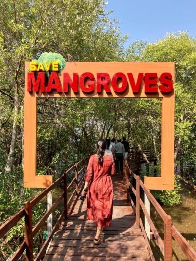 Touring the mangroves of Karwar