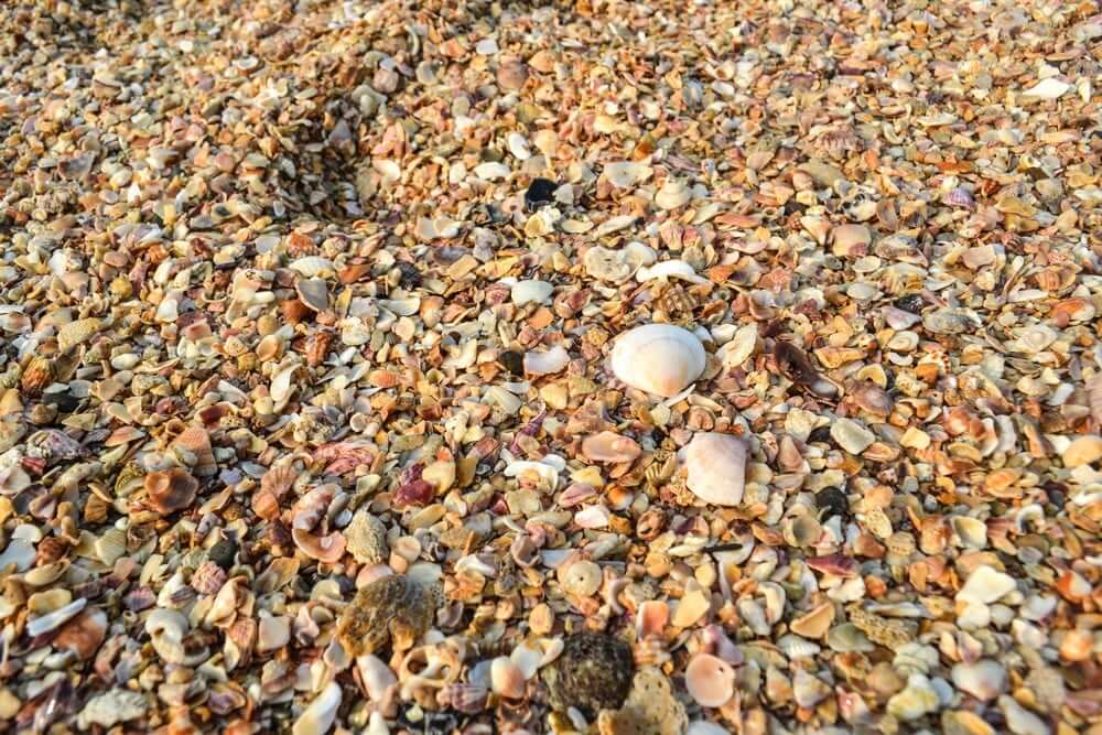 The all shell beach at St. Mary's Island