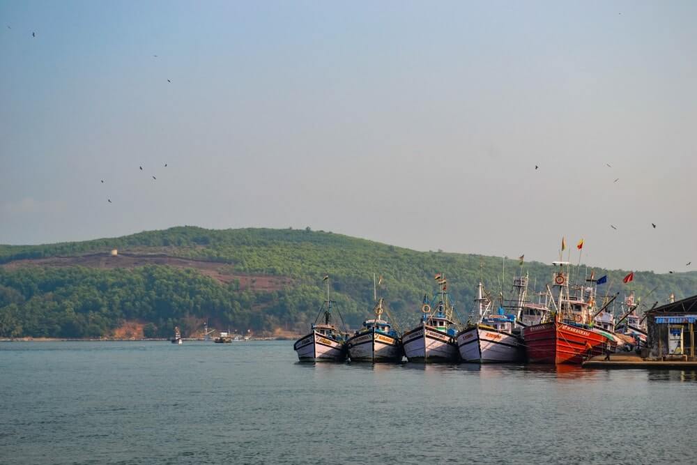 Fishing boats at Tadadi Port, Karnataka