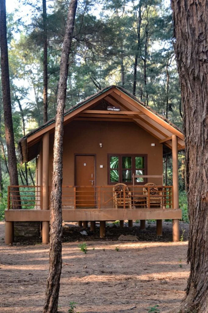 log hut on stilt at Devbagh beach resort