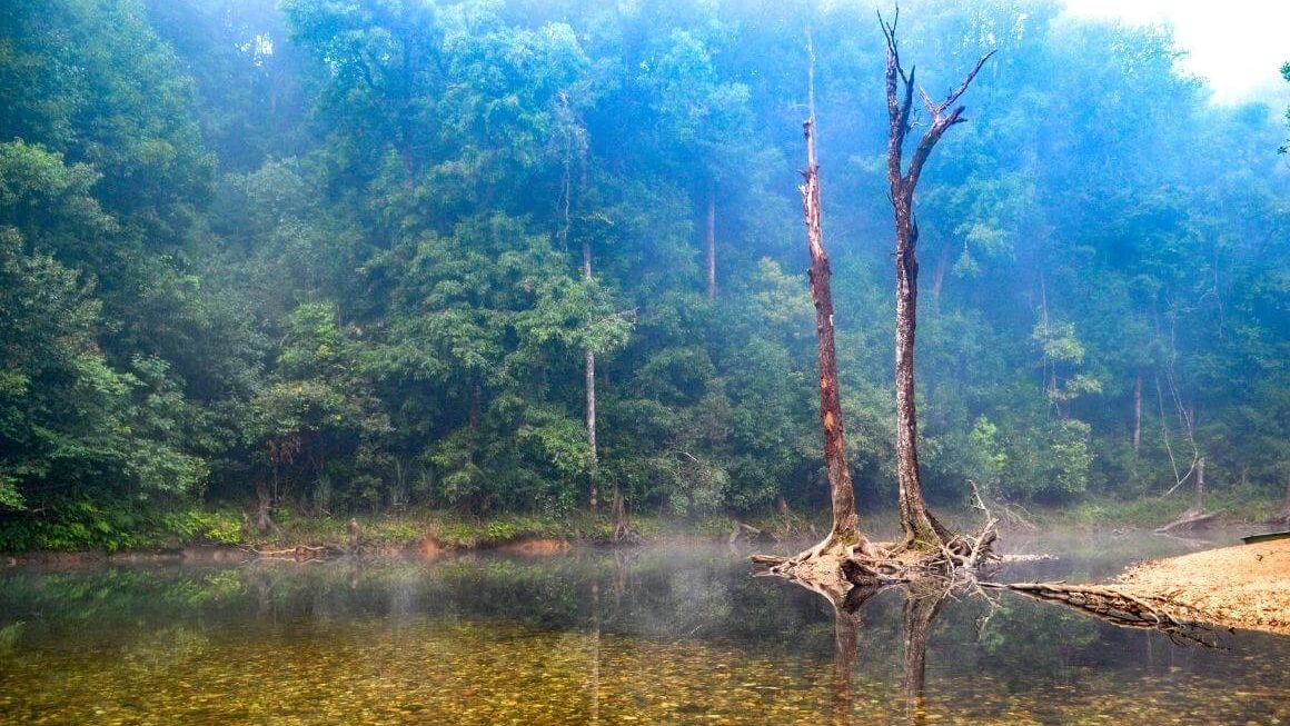 Bhagavathi Nature Camp Jungle Lodges Kudremukh: An Honest Review