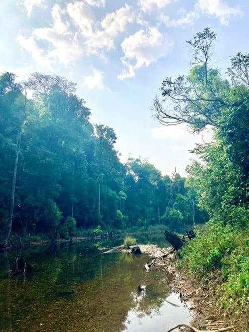 The river at Bhagavathi Nature Camp