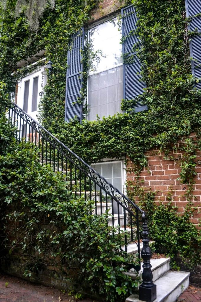 Ivy covered mansion on Jones Street in Savannah GA