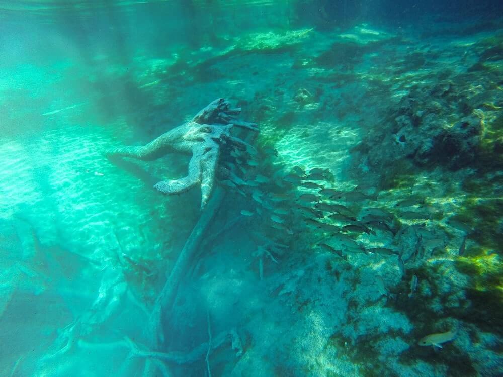 Orlando natural springs