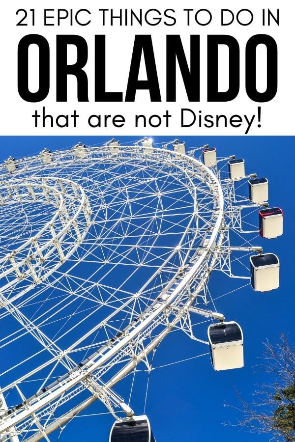 21 Fun Things To Do In Orlando Florida Besides Theme Parks