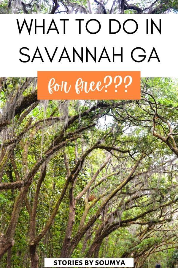 Savannah Georgia on a budget? Here are 13 best free things to do in Savannah GA. There's no need to wonder what to do in Savannah on a budget. This Savannah for free travel guide will help you see this beautiful southern city absolutely cheap. #savannah #georgia