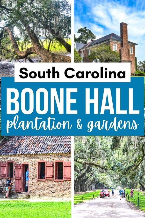 Visiting Boone Hall Plantation & Gardens in South Carolina? Keen to dig into Boone Hall's history? Eager to find more about the beautiful plantation where "The Notebook" was filmed? We have just the perfect Boone Hall Plantation guide for you. Packed with history, stories, and great things to do, this Boone Hall travel guide will give you serious travel goals. #SouthCarolina #Charleston