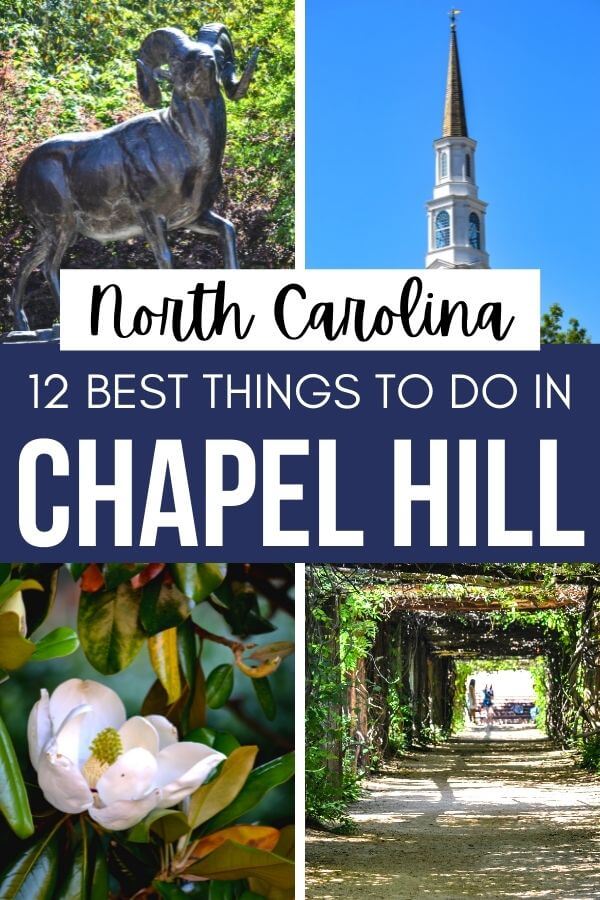 Traveling to Chapel Hill in North Carolina? Here are 12 absolutely incredible things to do in Chapel Hill NC. See the beautiful university, sample food from around the world, get wowed by Chapel Hill murals, and catch up on UNC history. #chapelhill #northcarolina