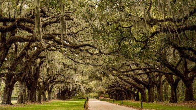 Visiting Charleston SC? Here's a list of the best day trips from Charleston that you need to do. Experience nature, history, and culture on these 10 amazing Charleston SC day trips that you would not want to miss. #Charleston #SouthCarolina