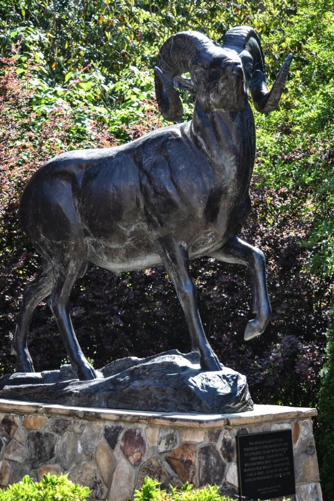 Ram Statue at University of North Carolina, Chapel Hill