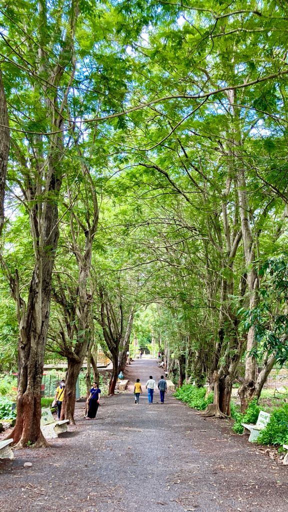 Walkways at Waghai Botanical Gardens in Gujarat
