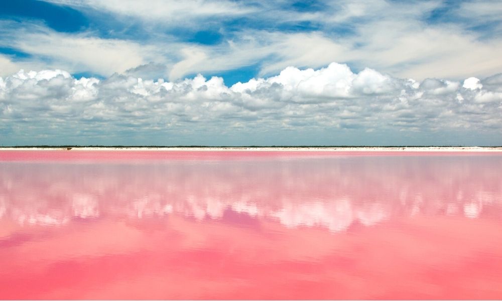 Pink lakes in Las Coloradas, Mexico