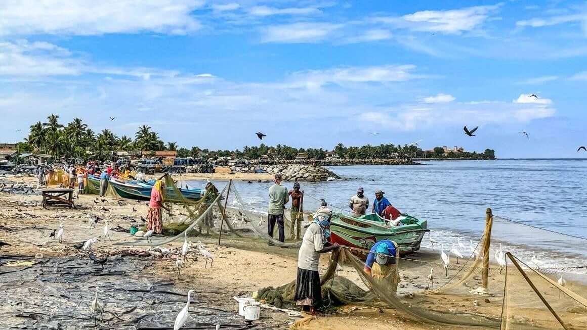 Negombo Fish Market In Sri Lanka: A Riot Of Colors, Smells And Smiles