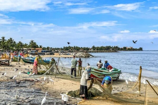 Negombo Fish Market In Sri Lanka: A Riot Of Colors, Smells And Smiles