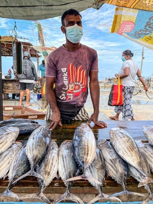 A fish vendor in Negombo looks on