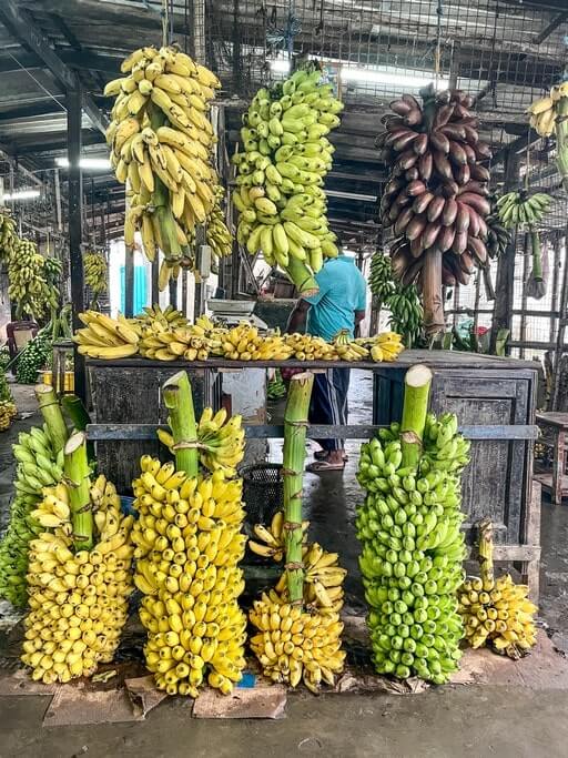 Yalpanam Market Fruit Stall