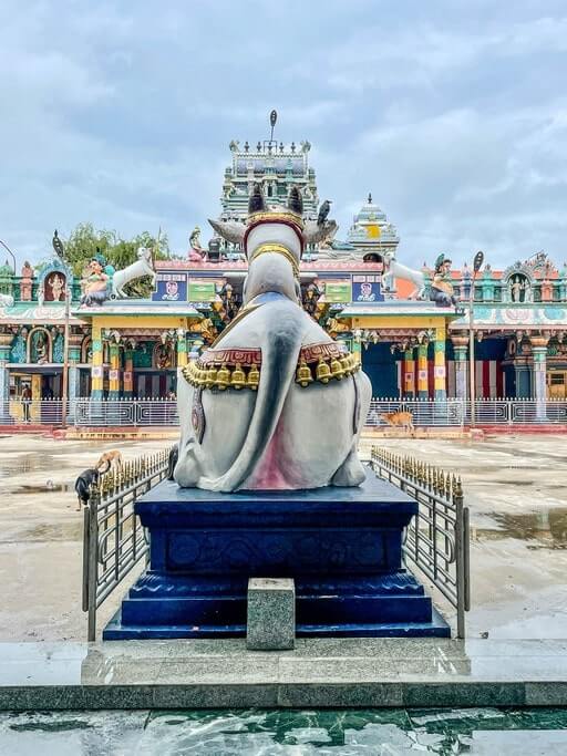 Nandi bull at Nainativu Temple