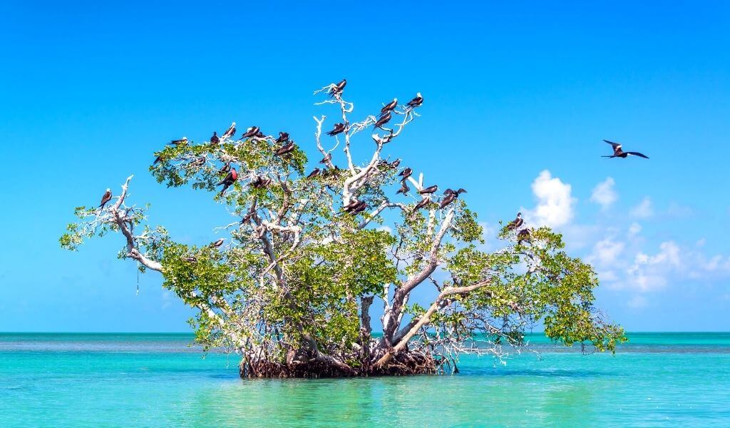 Sian Kaan Biosphere Reserve