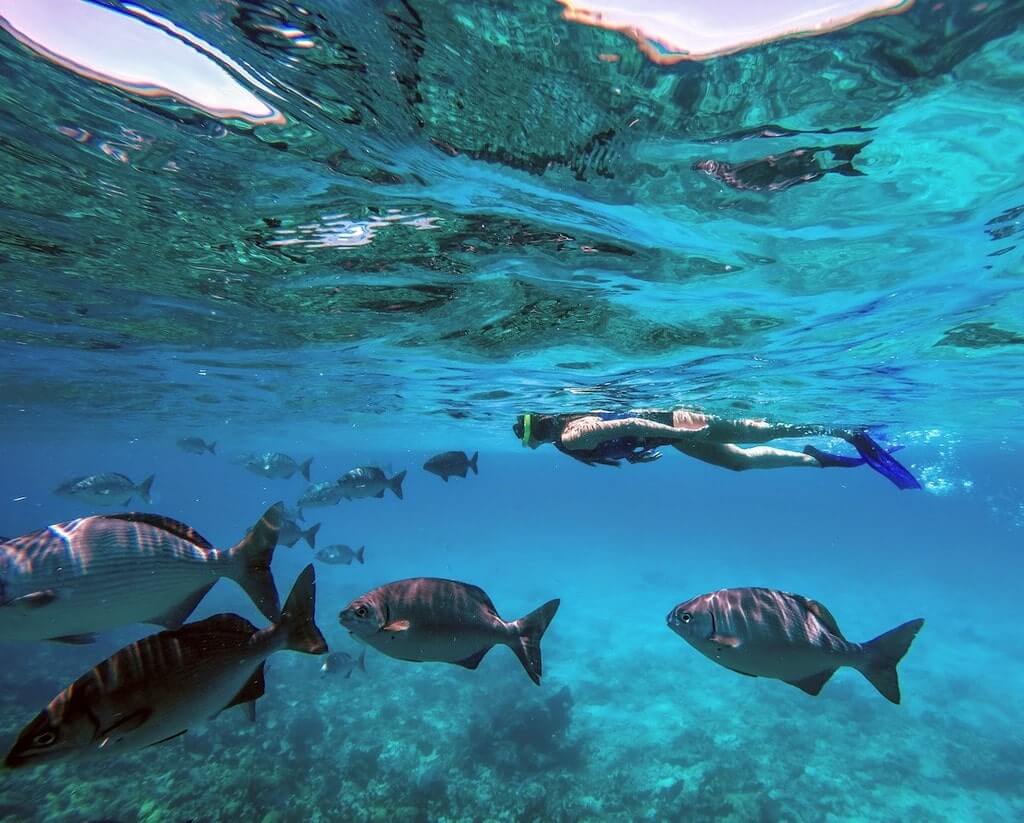 Snorkeling in Cancun is one of the best things to do.