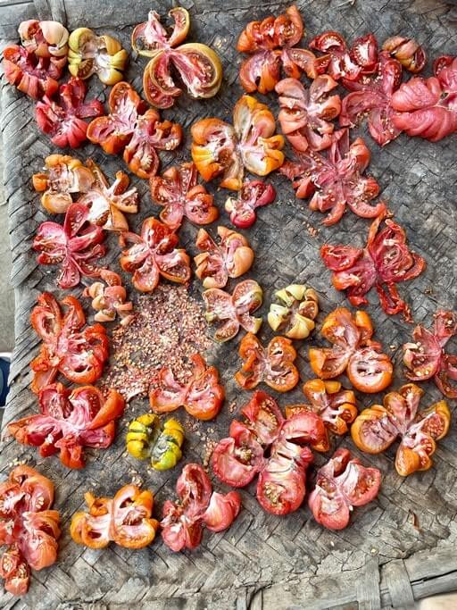 This is how Kanha villagers dry tomatoes