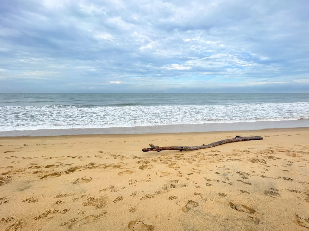 Negombo beach