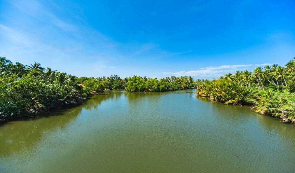 Beautiful Lagoon in Negombo