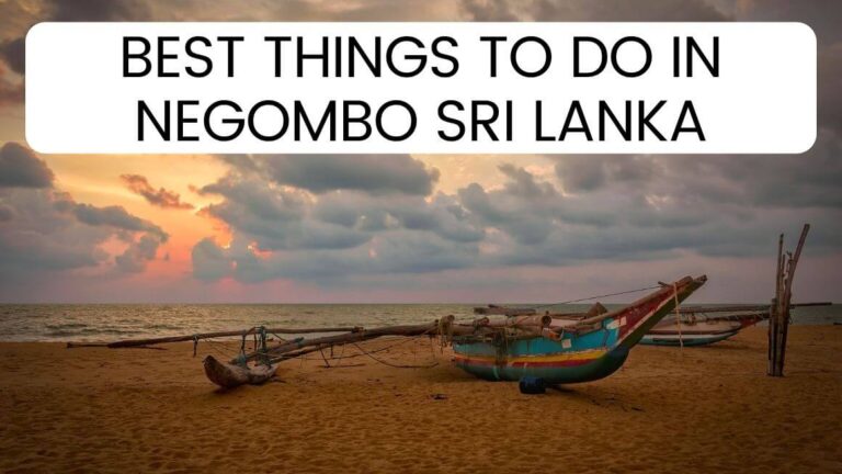 Wondering what to do in Negombo, Sri Lanka? Grab this guide to 14 best things to do in Negombo including a trip to Negombo fish market. Get a list of best Negombo hotels and tours. Ultimate Negombo Travel Guide. #Negombo #SriLanka