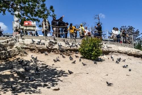 Pigeon valley in Cappadocia Turkey